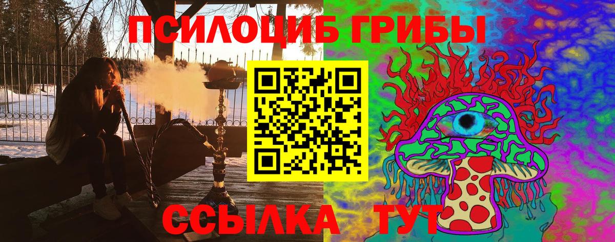 Галлюциногенные грибы Psilocybine cubensis Великий Новгород